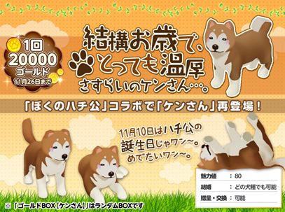 ���������꡼ No.010�Υ���ͥ������ / �֤ƤΤҤ��󥳡סߡ֤ܤ��Υϥ������Ķȥ��顼����ס�����ܥ����ڡ����»�