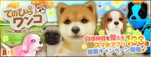 ꡼ No.001 | ֤ƤΤҤ󥳡פȼΧФ륹ޥۥץ100ɤ