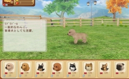 ꡼ No.005 | ֤ƤΤҤ󥳡פȼΧФ륹ޥۥץ100ɤ