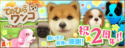 ꡼ No.001Υͥ / ֤ƤΤҤ󥳡ס2ǯǰڡǸ󤳤о