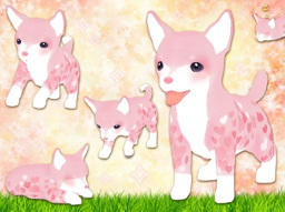 ꡼ No.007Υͥ / ֤ƤΤҤ󥳡ס2ǯǰڡǸ󤳤о