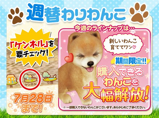 ꡼ No.001 | ֤ƤΤҤ󥳡סۤ䥱ͥ뤬륭ڡ