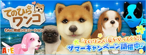 ꡼ No.002 | ֤ƤΤҤ󥳡סۤ䥱ͥ뤬륭ڡ