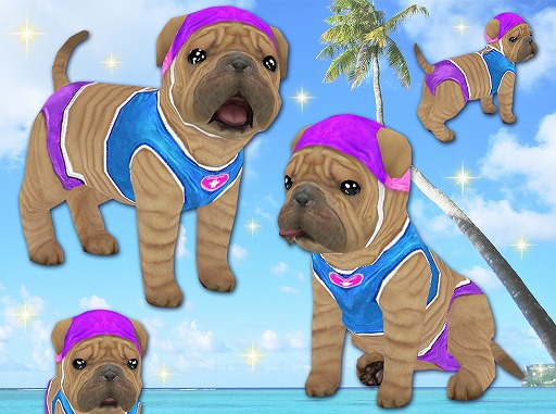 ꡼ No.003 | ֤ƤΤҤ󥳡סۤ䥱ͥ뤬륭ڡ