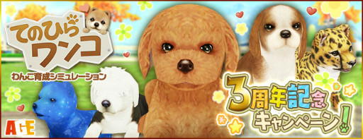 ꡼ No.001Υͥ / ֤ƤΤҤ󥳡פˤ3ǯǰȥ󥭥塼ڡɤ