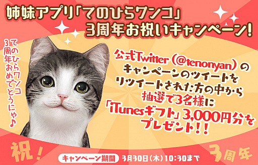 ꡼ No.001 | ֤ƤΤҤ󥳡פȡ֤ƤΤҤ˥󥳡פ3ǯǰڡ2Ƥ