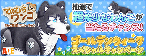 ꡼ No.002Υͥ / ֤ƤΤҤ󥳡ס쥢󥳡֥ƥǥաפGWڥ륭ڡ󳫺