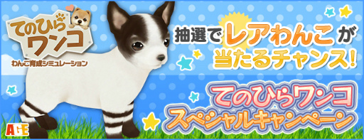 ꡼ No.001Υͥ / ֤ƤΤҤ󥳡סܡ郎륭ڡ򳫺