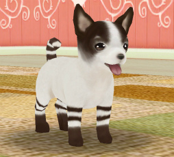 ꡼ No.002Υͥ / ֤ƤΤҤ󥳡סܡ郎륭ڡ򳫺