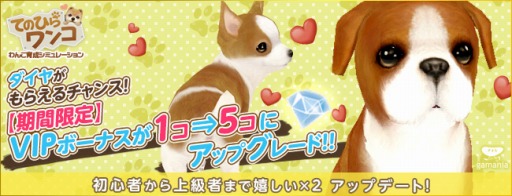 画像集#001のサムネイル/「てのひらワンコ」,お得な便利アイテムや洋服などが入ったボックスが登場