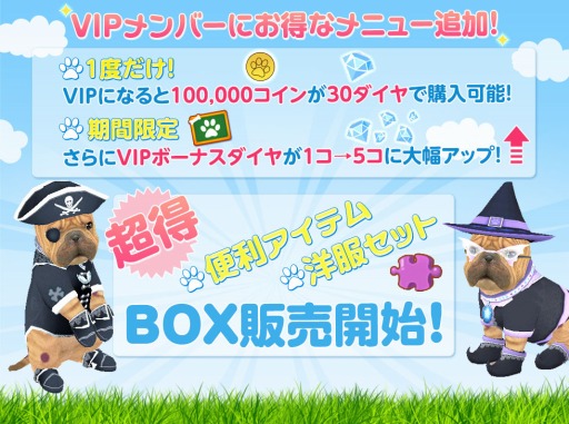 画像集#002のサムネイル/「てのひらワンコ」,お得な便利アイテムや洋服などが入ったボックスが登場