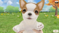 画像集#004のサムネイル/「てのひらワンコ」,お得な便利アイテムや洋服などが入ったボックスが登場