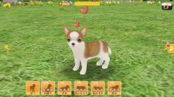 画像集#005のサムネイル/「てのひらワンコ」,お得な便利アイテムや洋服などが入ったボックスが登場