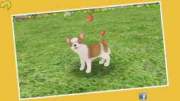 画像集#006のサムネイル/「てのひらワンコ」,お得な便利アイテムや洋服などが入ったボックスが登場