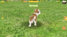 画像集#007のサムネイル/「てのひらワンコ」,お得な便利アイテムや洋服などが入ったボックスが登場