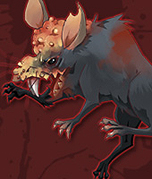 ������#007�Υ���ͥ���/�ִ����߾����ס����åץǡ��Ȥǿ����ʾ��������俷��ǽ���ɲá����ã���ǥ������ޥˡ�����館�륭���ڡ���⥹������