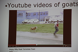 ������#006�Υ���ͥ���/��gamescom������ͣ��Υ䥮�����Goat Simulator�פϤʤ����ޤ�Ƥ��ޤä��Τ������򶵤��Ƥ���륻�å����GDC Europe 2014�Ǽ»�