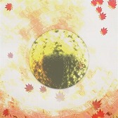 ������#002�Υ���ͥ���/��maimai GreeN PLUS�ס�������Project�פζʤ�ޤ࿷�ʤ�5��15�����ɲ�