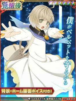 ���������꡼ No.005�Υ���ͥ������ / �֥ƥ��륺 ���� �������ꥢ�פΥ��ڥ���뾤���ˡ֥ƥ��륺 ���� �٥륻�ꥢ�פΥ���餬�о�