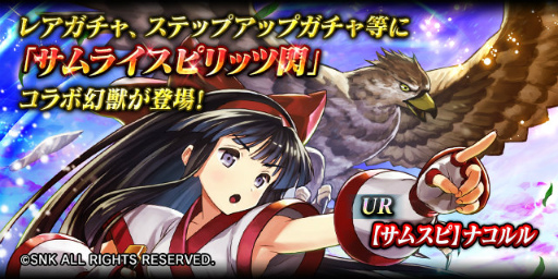 ꡼ No.005Υͥ / ֥ɥ饴󥸥ͥסߡ֥饤ԥåץܤ»