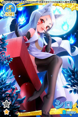 ꡼ No.009 | ֥⥢Aפȡä䤭ĥͤѤפܳ