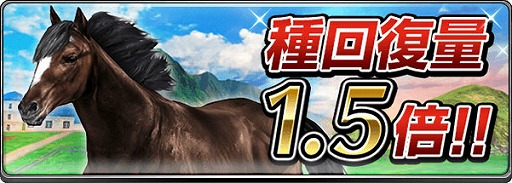 ꡼ No.004 | ֥ӡѥȡסȥӥѥɵǰD20ץ쥼