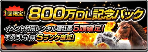 ���������꡼ No.002�Υ���ͥ������ / �֥����ӡ�����ѥ��ȡס�800��DL���˵�ǰ��D������ͭ�ϼﲴ�Ϥ�����