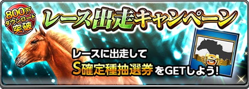 ���������꡼ No.005�Υ���ͥ������ / �֥����ӡ�����ѥ��ȡס�800��DL���˵�ǰ��D������ͭ�ϼﲴ�Ϥ�����