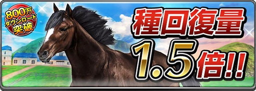 ���������꡼ No.006�Υ���ͥ������ / �֥����ӡ�����ѥ��ȡס�800��DL���˵�ǰ��D������ͭ�ϼﲴ�Ϥ�����