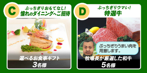 ꡼ No.004Υͥ / ɥХιԤ֥ӡѥȡ900DLǰڡ󤬳