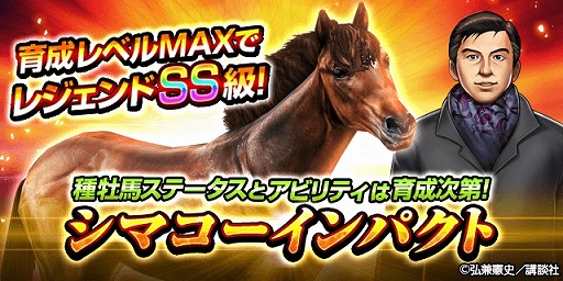 ꡼ No.003 | ֥ӡѥȡסּĹ ̺ץܤǥޥѥȤо