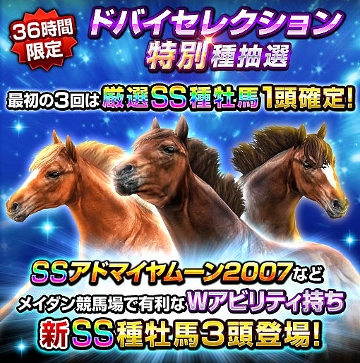 ���������꡼ No.008�Υ���ͥ������ / �֥����ӡ�����ѥ��ȡס�������ɽ�ϤΥɥХ��ߡ��ƥ��󥰽�����ǰ�����ڡ��󳫺�