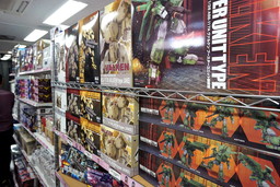 ꡼ No.006Υͥ / ֽʼ쥤ΥפҲ𤵤줿ߤޤ2015ɤΥơݡȡPLUM1/35쥤Υϳȯ˰äƤ