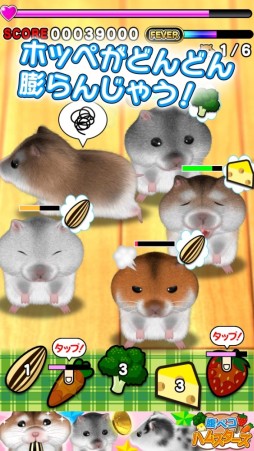 画像集#001のサムネイル/Android版「腹ペコハムスターズ」が配信中。ハムスター達に餌をあげよう