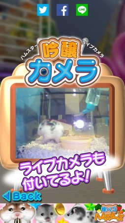 画像集#005のサムネイル/Android版「腹ペコハムスターズ」が配信中。ハムスター達に餌をあげよう