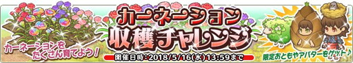画像ギャラリー No.001のサムネイル画像 / 「楽園生活 ひつじ村」でイベント“カーネーション収穫チャレンジ”が開催