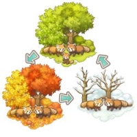 ꡼ No.005Υͥ / ֳڱ ҤĤ¼פǥ٥ȡֿޤ졪ꤤΥפָǳ