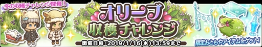 画像ギャラリー No.001のサムネイル画像 / 「楽園生活 ひつじ村」,イベント「オリーブ収穫チャレンジ」が開催