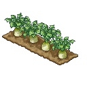 画像ギャラリー No.001のサムネイル画像 / 「楽園生活 ひつじ村」期間限定イベント“みかん収穫チャレンジ”開催