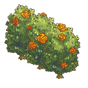 ꡼ No.006Υͥ / ֳڱ ҤĤ¼סָꥤ٥ȤšĥХ餫Ũ󽷤褦