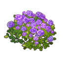 ꡼ No.008Υͥ / ֳڱ ҤĤ¼סָꥤ٥ȤšĥХ餫Ũ󽷤褦