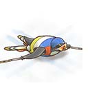 画像ギャラリー No.009のサムネイル画像 / 「楽園生活 ひつじ村」,レイドイベント“ひつじ村の狩猟祭”が開催。レイドメダルの獲得チャンス