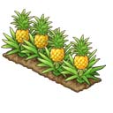 画像ギャラリー No.008のサムネイル画像 / 「楽園生活 ひつじ村」,イベント“スイカ収穫チャレンジ”開催。作物を収穫して報酬をゲットしよう