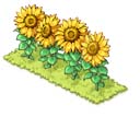 画像ギャラリー No.009のサムネイル画像 / 「楽園生活 ひつじ村」,イベント“スイカ収穫チャレンジ”開催。作物を収穫して報酬をゲットしよう