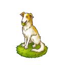 画像ギャラリー No.003のサムネイル画像 / 「楽園生活 ひつじ村」,期間限定クエスト“おともトレーナー検定開催?!”を配信中