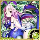 ������#004�Υ���ͥ���/�֥����������7 NEO��SR���ꥬ��������åȤ��館�륫��Хå���褬�»�