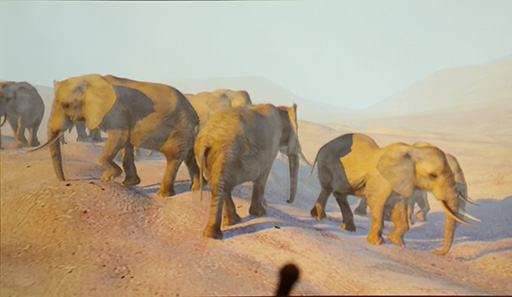 ꡼ No.012 | CEDEC 2015Autodeskä२󥸥StingrayפCEDECǤϪܡ̤ƤμϤϡ