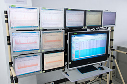 ꡼ No.009 | ZOTACΥեåɹ츫صεϤΨ餵˰ݤƤ