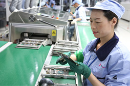 ꡼ No.043 | ZOTACΥեåɹ츫صεϤΨ餵˰ݤƤ