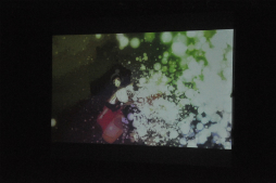 画像集#044のサムネイル/最新作「シャリーのアトリエ」の楽曲も披露された「ガストプレミアムライブ Vol.2」をレポート。霜月はるかさん,みとせのりこさんらアーティストが集結